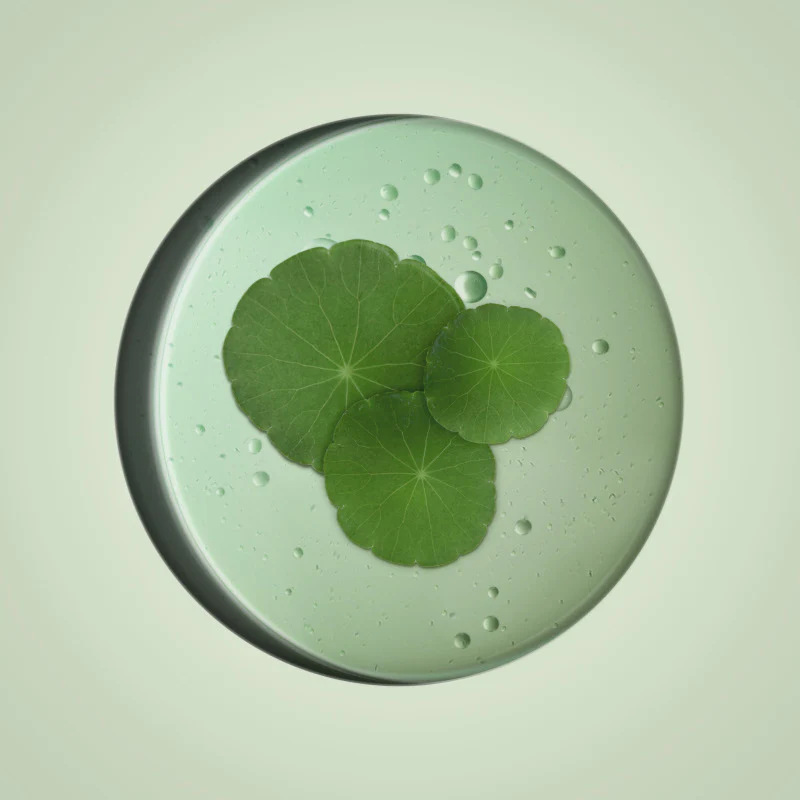 Immagine prodotto 3