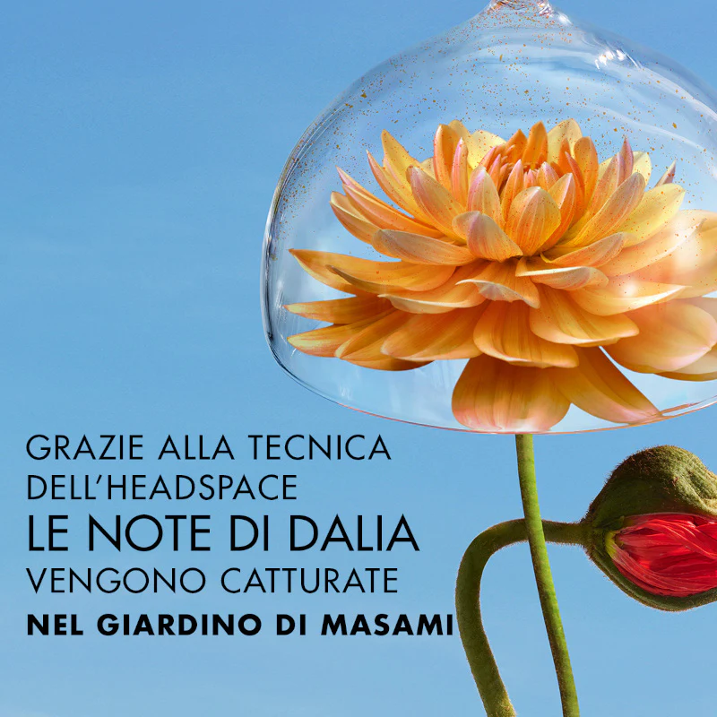 Immagine prodotto 7
