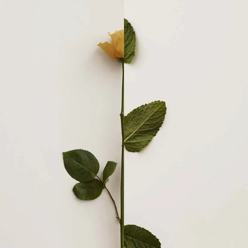 Immagine prodotto 8