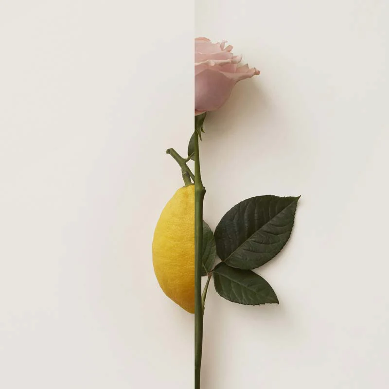 Immagine prodotto 14