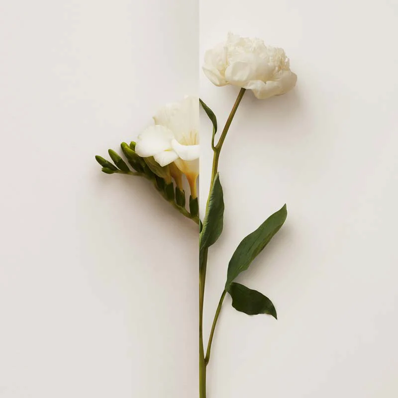 Immagine prodotto 8